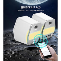 プリンストン ゲーミングスピーカー2000 ED-G2000-WH 1個