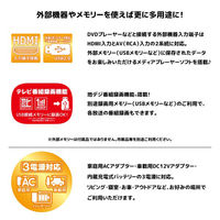 ダイアモンドヘッド 14インチ録画機能付きポータブルTV OT-CT14AK 1台（直送品）