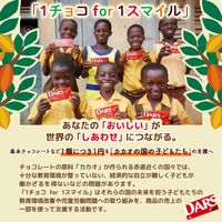 ダース2種アソート 99g 1セット（1袋×3） 森永製菓 チョコレート 大袋 個包装 小分け