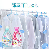 【旧品】ボールドジェル 洗濯洗剤 液体 フレッシュフラワーサボン 本体 750g 1個 洗濯洗剤 P＆G