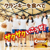 チョコレート菓子 クランキー　エクセレント　26枚入 1セット（1個×6）