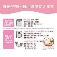 ピジョン はじめてママの妊婦帯セット M～L グレー