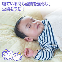 ピジョン おやすみ前のフッ素コート 40ml 1個