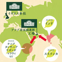 【紅茶ティーバッグ】AHMAD TEA (アーマッドティー）アールグレイ 3箱（100バッグ入×3）【大容量 個包装】