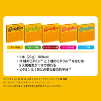 カロリーメイトブロック アソート 9箱セット（チョコレート・メープル・バニラ各3箱）　大塚製薬　 栄養補助食品