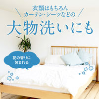 ニュービーズ ピュアクラフト 詰め替え 超特大 1160g 1セット（3個） 衣料用洗剤 花王 【旧品】