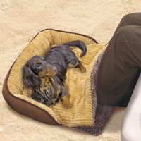 犬暖 のって寝ころぶフットウォーマー 1個 ドギーマンハヤシ