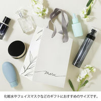 メルシーギフトバッグ Sサイズ 5枚 紙袋  限定