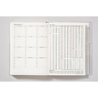 高橋書店 【2024年版】ポケットダイアリー A6 1頁1日 日曜始まり 白 8 1冊（直送品）