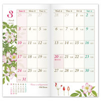 フロンティア 2024年ダイアリー クラシックローズ 紫 SS DY-098 5冊（直送品）