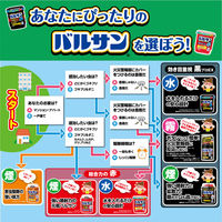 バルサンプロEX6～8畳用 10個セット レック　殺虫剤 煙が出るタイプ ゴキブリ イエダニ ノミ トコジラミ ハエ・蚊成虫【第2類医薬品】