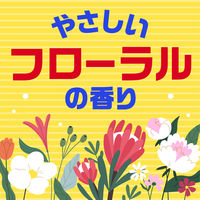 アースシラミとりシャンプー 100ml 10箱セット アース製薬　専用くし付き シラミ 駆除 フローラルの香り【第2類医薬品】