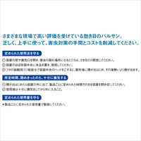 業務用バルサン CPMジェット160 VGTF 10個セット レック　くん煙殺虫剤　ゴキブリ・イエダニ・ノミの退治・駆除【第2類医薬品】