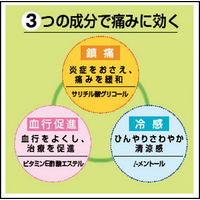 トクホンE 冷感 120枚 微香性 5箱セット 大正製薬　湿布 シップ 筋肉痛　関節痛【第3類医薬品】