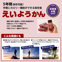 井村屋（株） 井村屋 12本入えいようかん 720g(60g×12本)×3個 4901006110730 3セット（直送品）