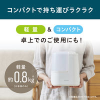 アイリスオーヤマ スチーム式加湿器 120ml 卓上 加熱式 コンパクト 小型 AHM-H12B-C 1台