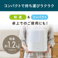 アイリスオーヤマ スチーム式加湿器 260ml 卓上 加熱式 コンパクト 小型 AHM-H26B-H 1台