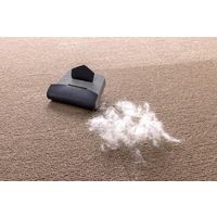 サンコー ペット 毛取り 1個 AA-44 そうじ 掃除 抜け毛  換毛期 カーペット タイルマット  ペットパッケージ（直送品）