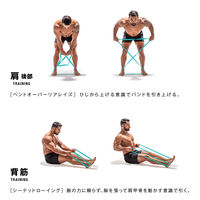 サクライ貿易 トレーニング器具 筋肉質バンド ペールブルー 54155 1セット(1個入)（直送品）