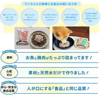 無一物 愛犬用 かつお 国産 60g 48袋 はごろも ドッグフード ウェット パウチ