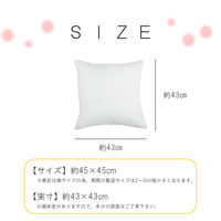 イケヒコ・コーポレーション ヌード セアテ 約45×45cm (2枚組) 9507820 1セット(2枚組)