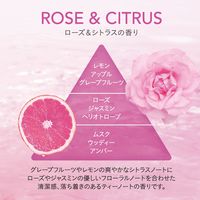 ジョージオリバー SIRTFL C.C.モイストシャンプー詰替 911664 1ケース(24個×320ML)（直送品）