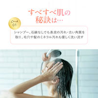 ホットタブ ウェルネス 薬用 重炭酸入浴剤 15回分 1パック（45錠入：1回3錠）医薬部外品 ホットアルバム炭酸泉タブレット