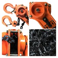 レバーホイスト 0.75ton 003 1台