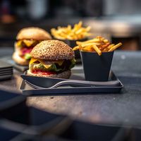 コジオル KOZIOL MOVE トレイ 230mm AGY 4002942633410 1個