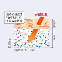 Curel（キュレル） ディープモイスチャースプレー 150g