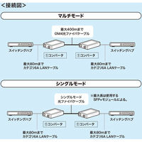 サンワサプライ 10Giga光メディアコンバータ LAN-EC2011TF 1個（直送品）