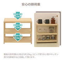 エイ・アイ・エス ミニパインラック45 HZMR-450 1台