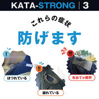 オーミヤ カタストロング3 SP-51 1枚