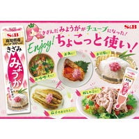 エスビー食品 S&B きざみみょうが 38g x10 17108 1セット(10個)（直送品）