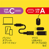 USB変換アダプタ Type-C[オス] - USB-A[メス] USB3.2 Gen2対応 変換ケーブル USA-10G2 1個