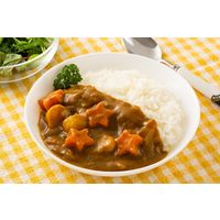 植物素材のカレー甘口フレーク 135g 3個 創健社 カレールウ カレーフレーク