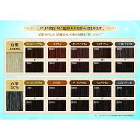 LPLP（ルプルプ） ヘアカラートリートメント ベージュブラウン 200g 1個 スタージュ