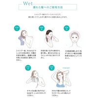 LPLPessence カラートリートメント エボニーブラック＜ナチュラルブラック＞ 170g スタージュ