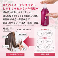 サロンリンク アミノ ダメージリペア 椿シャンプー クラシックフローラルの香り ポンプ 1000ml 大容量 熊野油脂