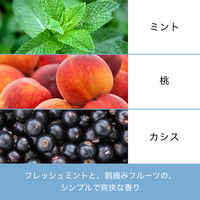 パンテーン ミセラー ピュア＆クレンズ トリートメント 詰め替え 350g P&G