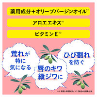 DHC 薬用リップバーム ×2個 無香料 保湿リップクリーム 高保湿 夜パック ディーエイチシー