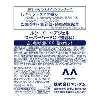 LUCIDO（ルシード）ヘアジェル スーパーハード メンズ スタイリング剤 160g 無香料・速乾・強力 マンダム