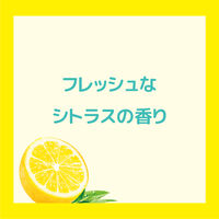 クレンジングリサーチ ウォッシュクレンジングC 120g シトラスの香り W洗顔不要 毛穴 黒ずみ BCLカンパニー