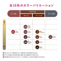ビゲン ポンプカラー 詰め替え 2RB 明るいリッチブラウン ホーユー