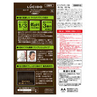 ルシード ワンプッシュケアカラーダークブラウン 6 メンズ用 無香料 白髪染め マンダム（医薬部外品）