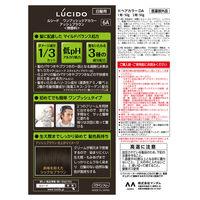 ルシード ワンプッシュケアカラーアッシュブラウン 6A メンズ用 無香料 白髪染め マンダム（医薬部外品）