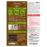 ルシード ワンプッシュケアカラーナチュラルブラウン 5 メンズ用 無香料 白髪染め マンダム（医薬部外品）