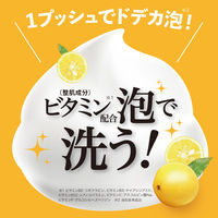 泡の洗顔料 ビタホイップ 詰替 250mL シトラスシャワーの香り マックス