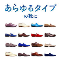 ドクターショール 消臭・抗菌靴スプレー コンパクトサイズ 1本 ショールズウェルネスカンパニー