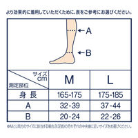 メディキュット フォーメン 着圧ナイトソックス ショート L レキットベンキーザー・ジャパン